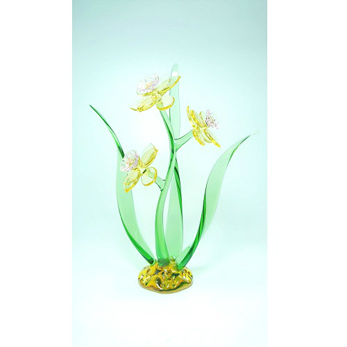 水仙花 香檳黃
