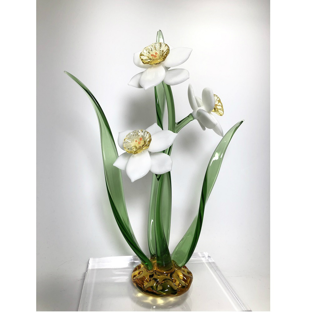 水仙花 純白